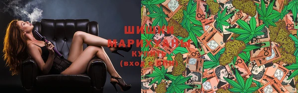 спиды Заводоуковск